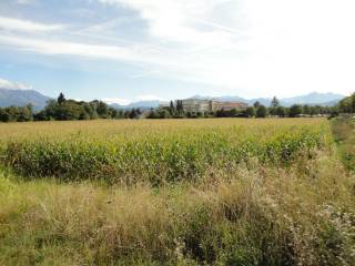 Terreno agricolo all'asta a cuneo via antonio carle