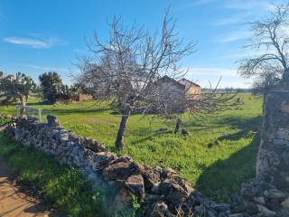 Terreno agricolo in vendita a galatina contrada masseria ca fica