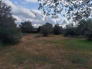 Terreno agricolo in vendita a vittoria via san giuseppe lo sperso