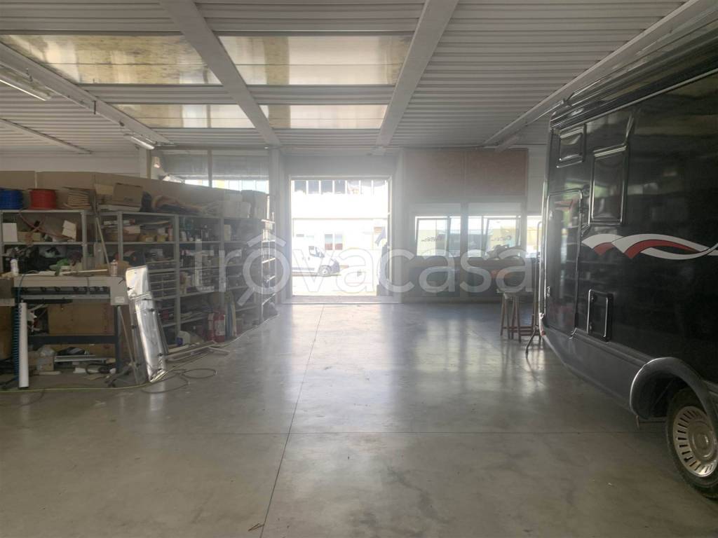 immagine annuncio 9 di 15