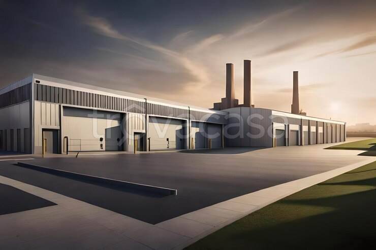 immagine annuncio 10 di 14