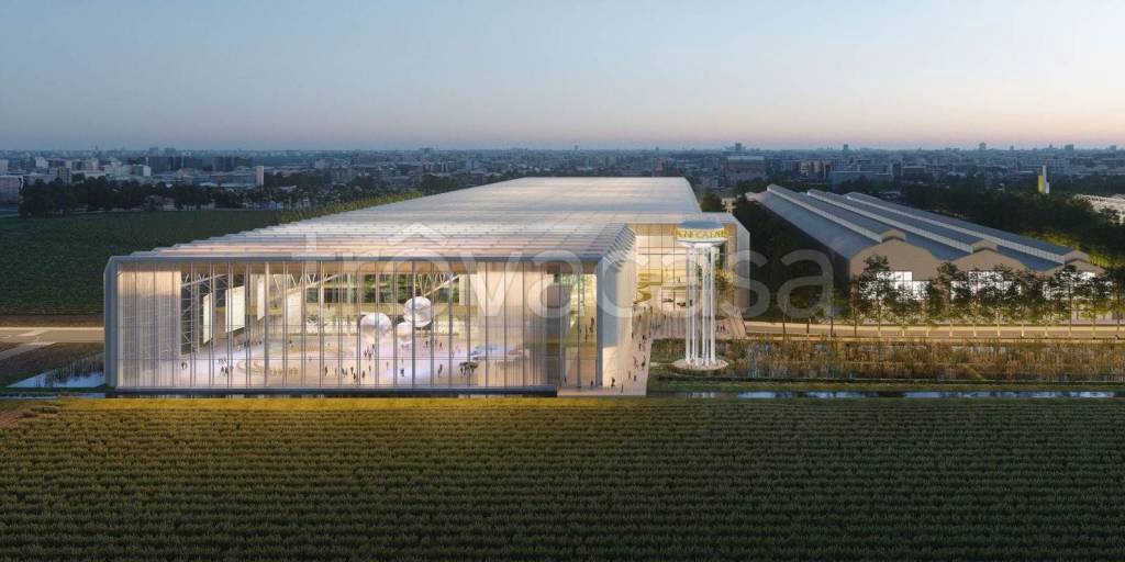 immagine annuncio 7 di 14