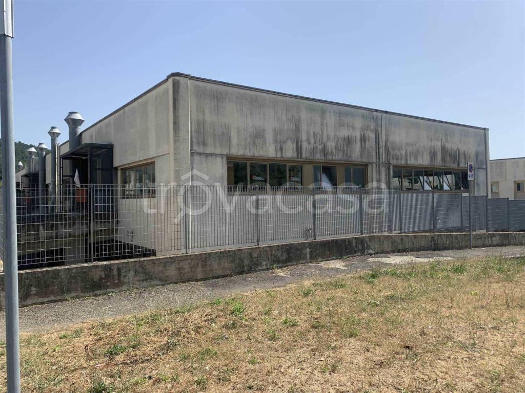 immagine annuncio 4 di 14