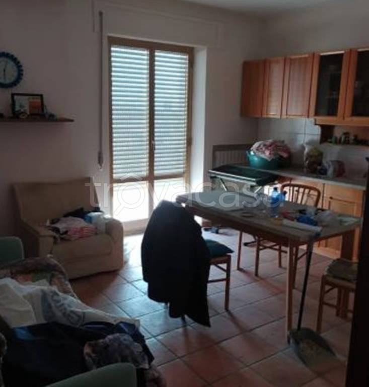 immagine annuncio 6 di 14