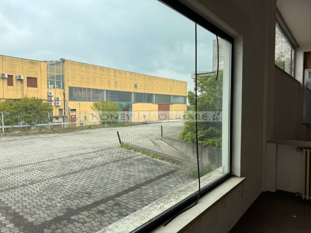 immagine annuncio 10 di 13