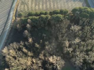 Terreno agricolo in vendita a comacchio piazza donatori di sangue