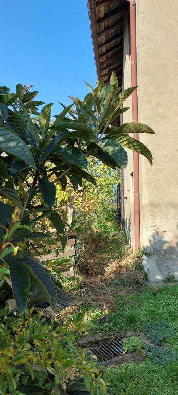 immagine annuncio 3 di 7
