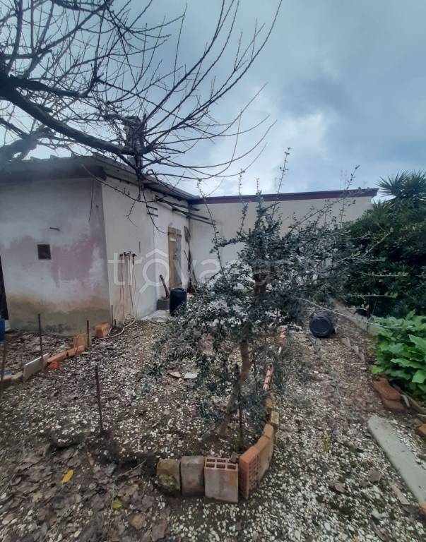 immagine annuncio 3 di 14