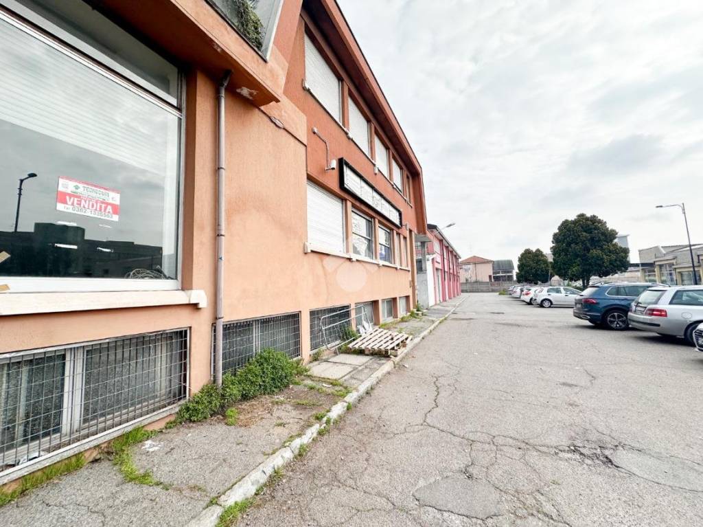 immagine annuncio 1 di 15