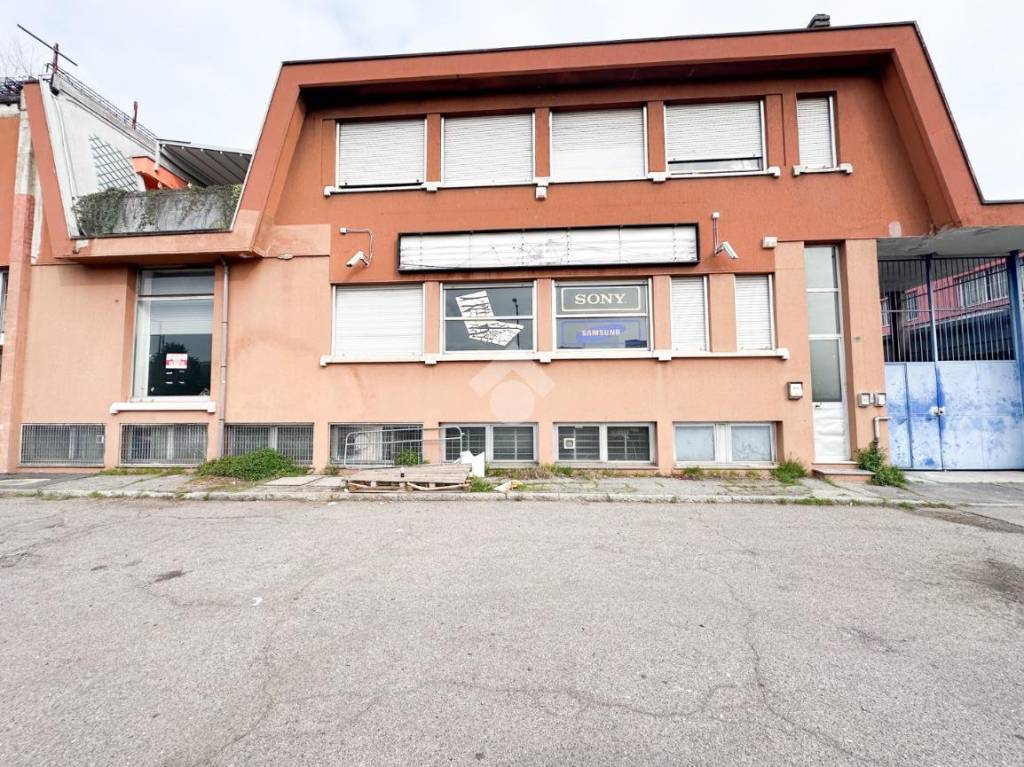 immagine annuncio 2 di 15