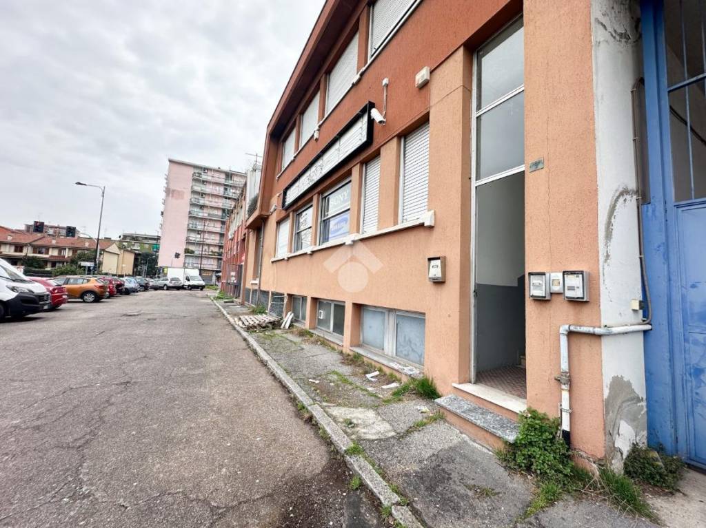 immagine annuncio 5 di 15