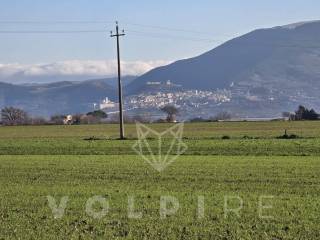 Terreno agricolo in vendita a bettona via passerella, 68