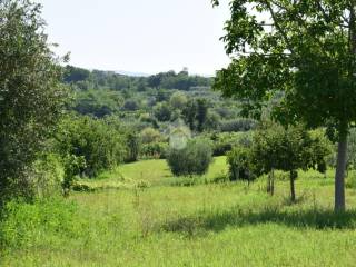 Terreno agricolo in vendita a sant'agata de' goti c/da presta