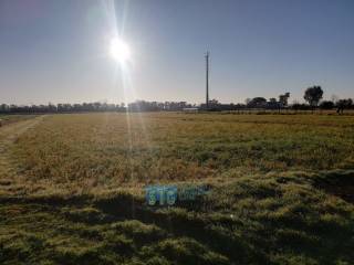 Terreno agricolo in vendita a latina 