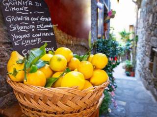 Appartamento in vendita a vernazza via fieschi