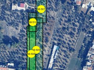 Terreno agricolo all'asta a bitonto sp22