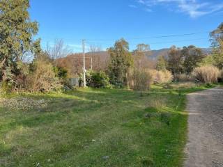 Terreno agricolo in vendita a quartucciu strada statale 554