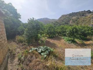 Terreno agricolo in vendita a reggio di calabria oliveto