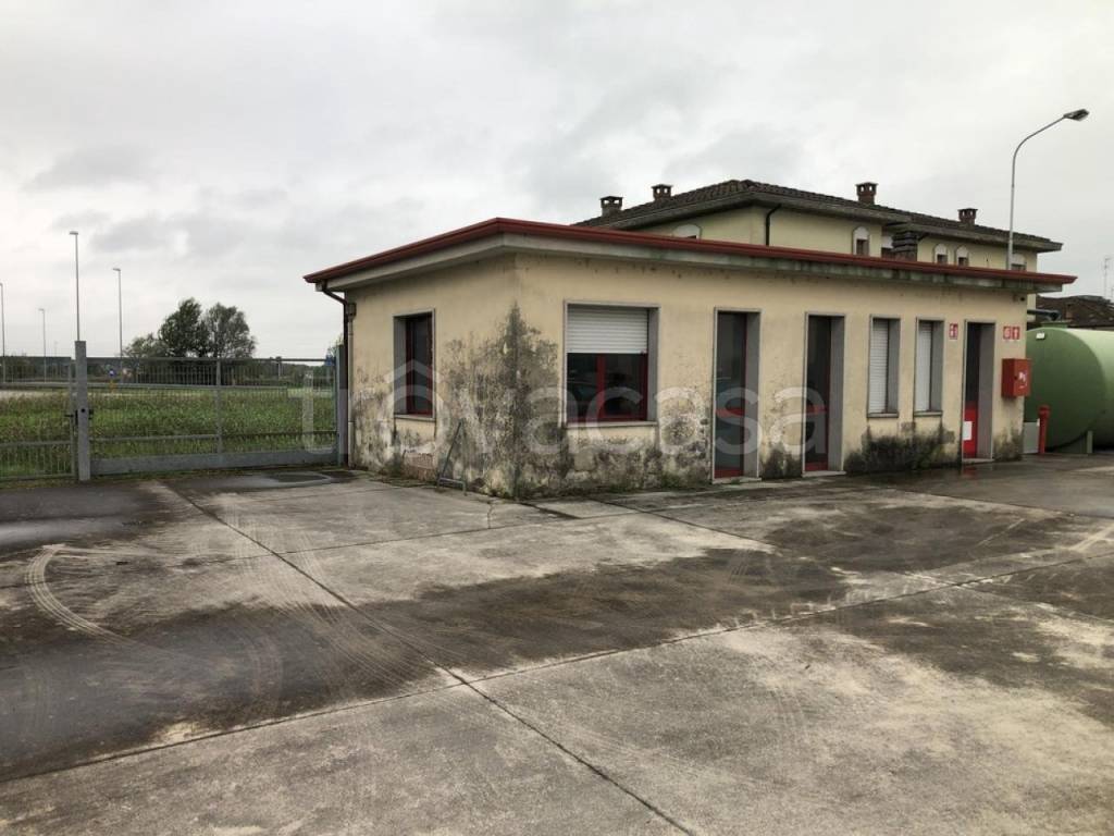 immagine annuncio 6 di 8