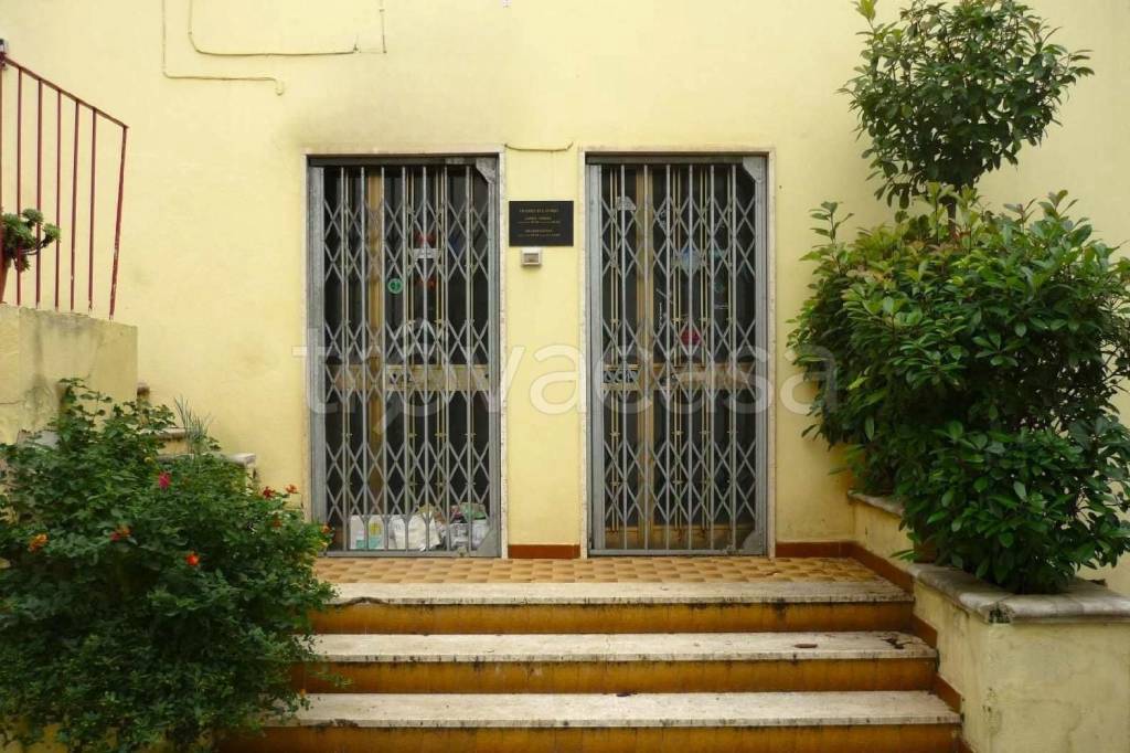 immagine annuncio 8 di 14