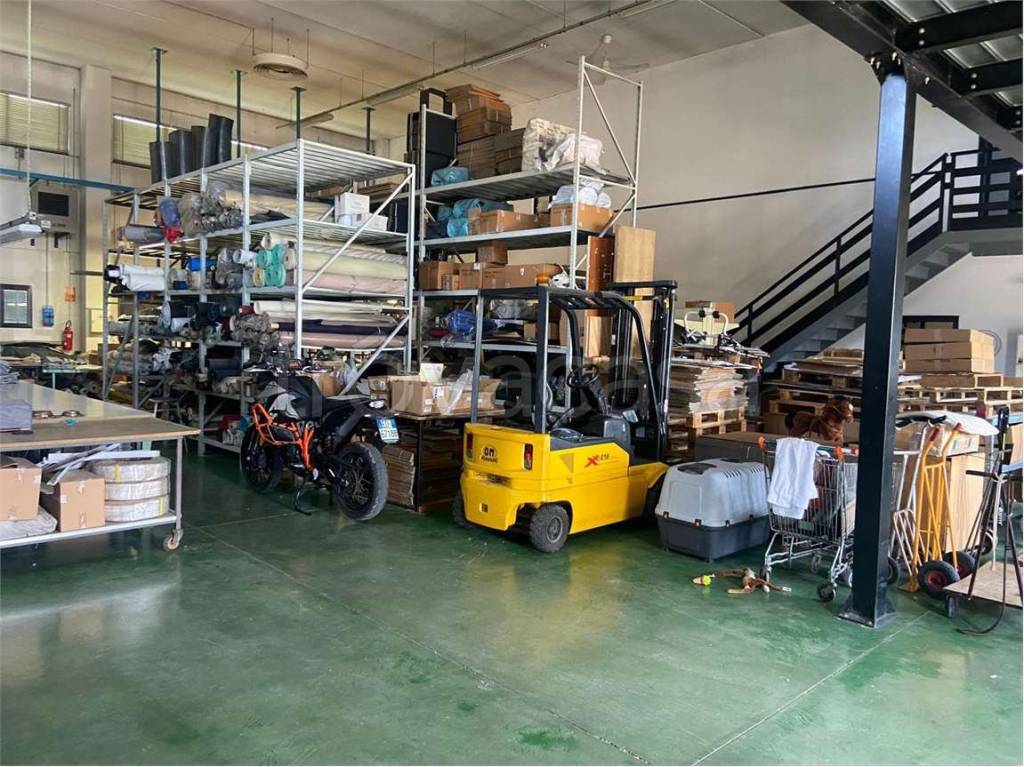 immagine annuncio 6 di 15