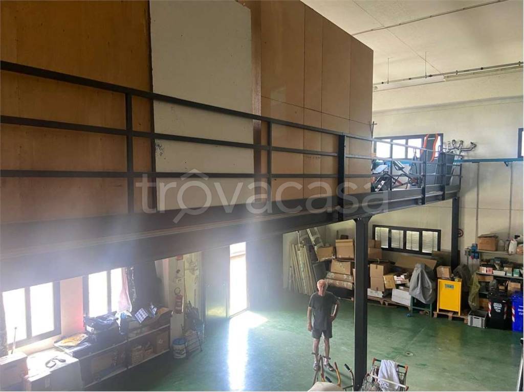 immagine annuncio 8 di 15