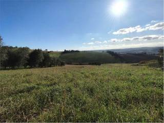 Terreno agricolo in vendita a osimo 