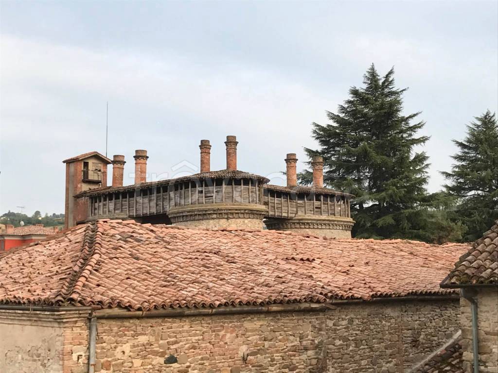 immagine annuncio 1 di 14