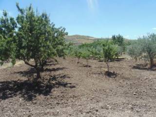 Terreno agricolo all'asta a barrafranca contrada torre fontanazza, snc