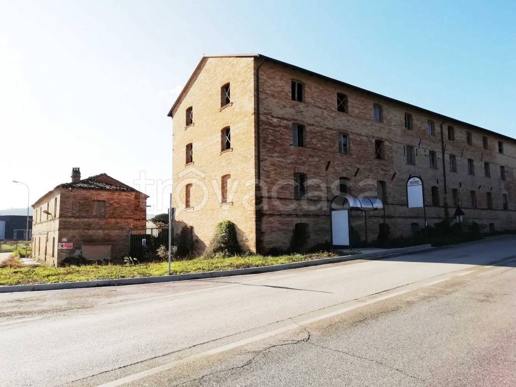 immagine annuncio 1 di 6