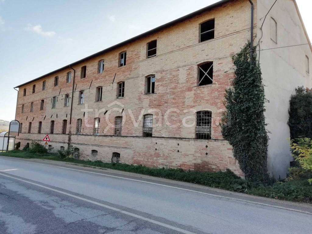 immagine annuncio 2 di 6