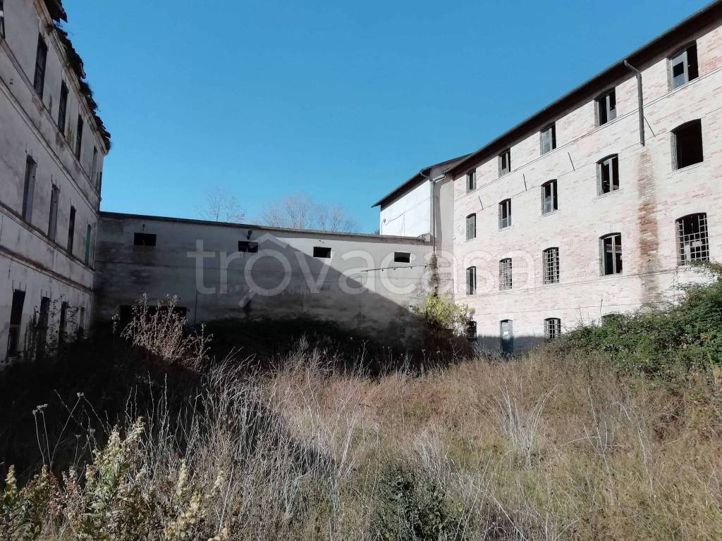 immagine annuncio 3 di 6