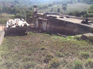 Terreno agricolo in vendita a segni località fontana cercia s.n.c.