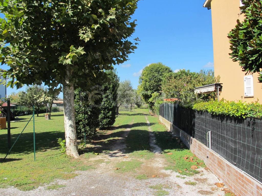 immagine annuncio 2 di 11