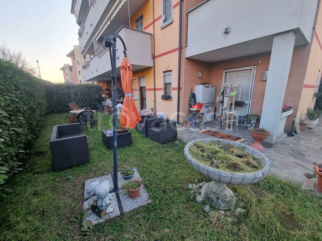 immagine annuncio 3 di 15