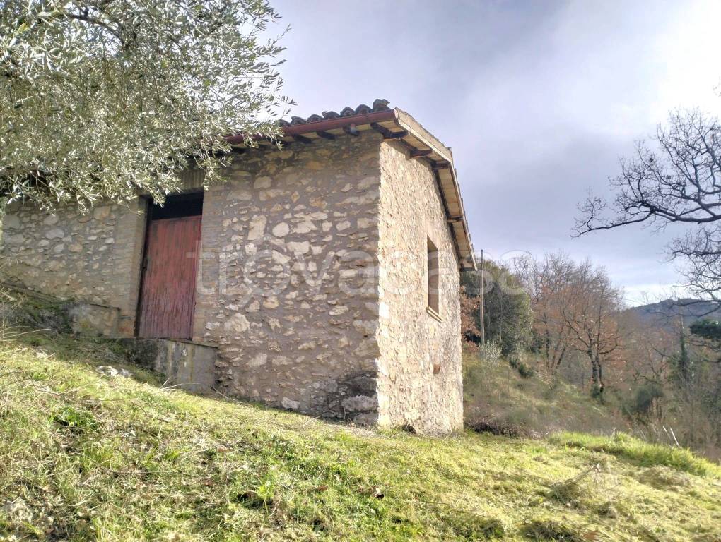 immagine annuncio 4 di 11