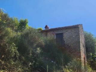 Terreno agricolo in vendita a paliano 