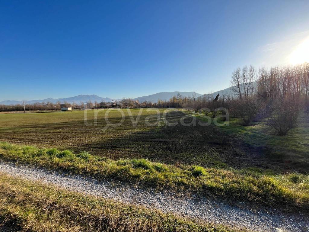 immagine annuncio 6 di 14