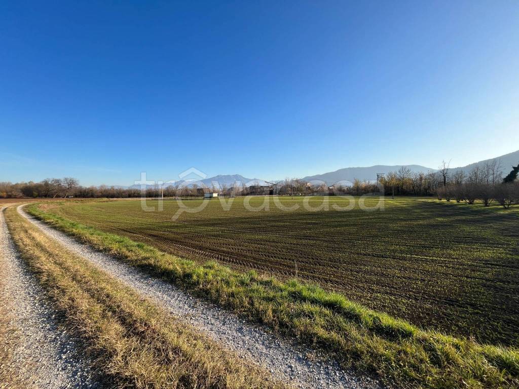 immagine annuncio 7 di 14