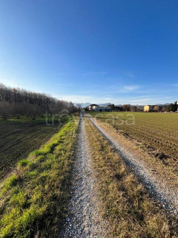immagine annuncio 9 di 14