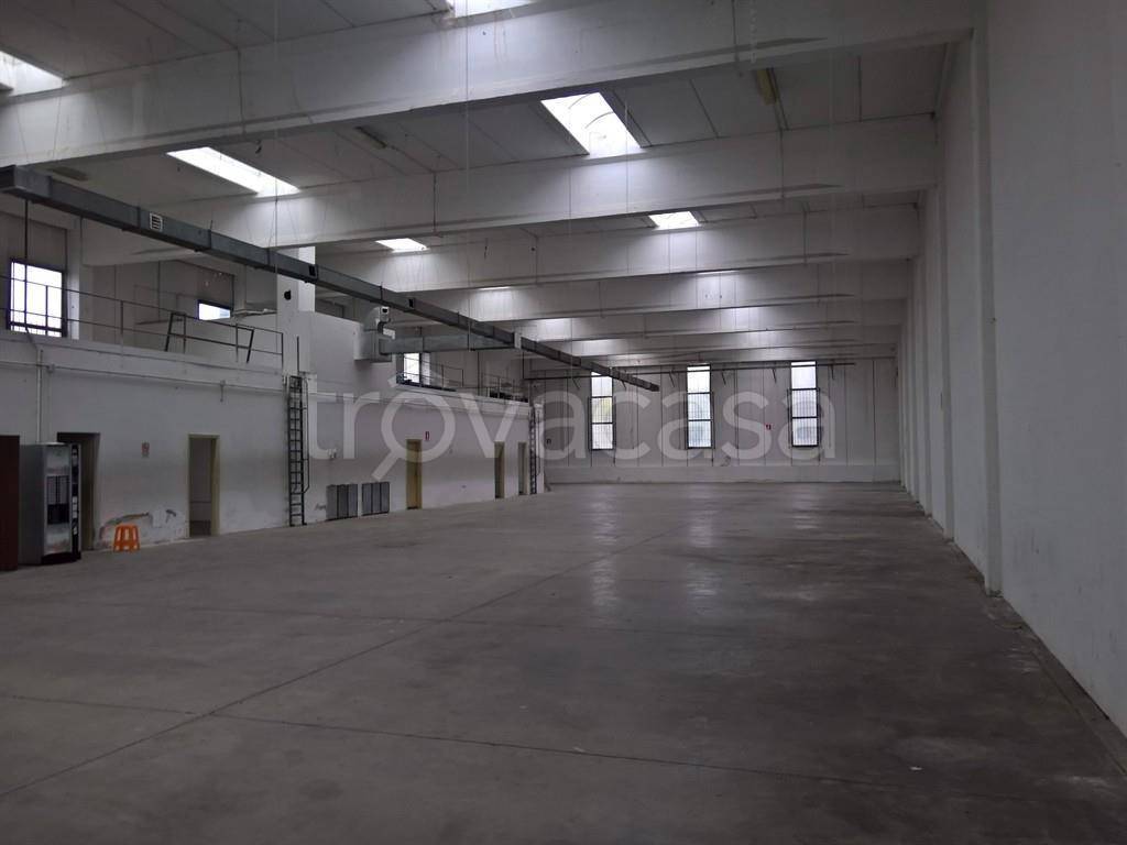 immagine annuncio 2 di 6