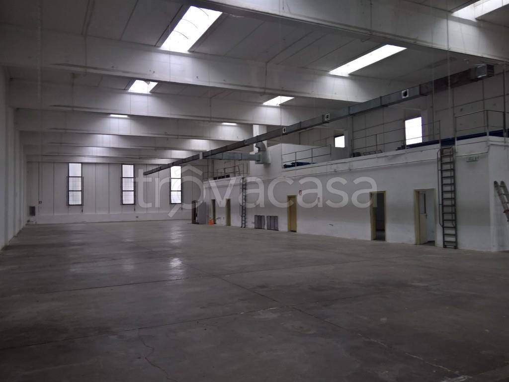 immagine annuncio 4 di 6