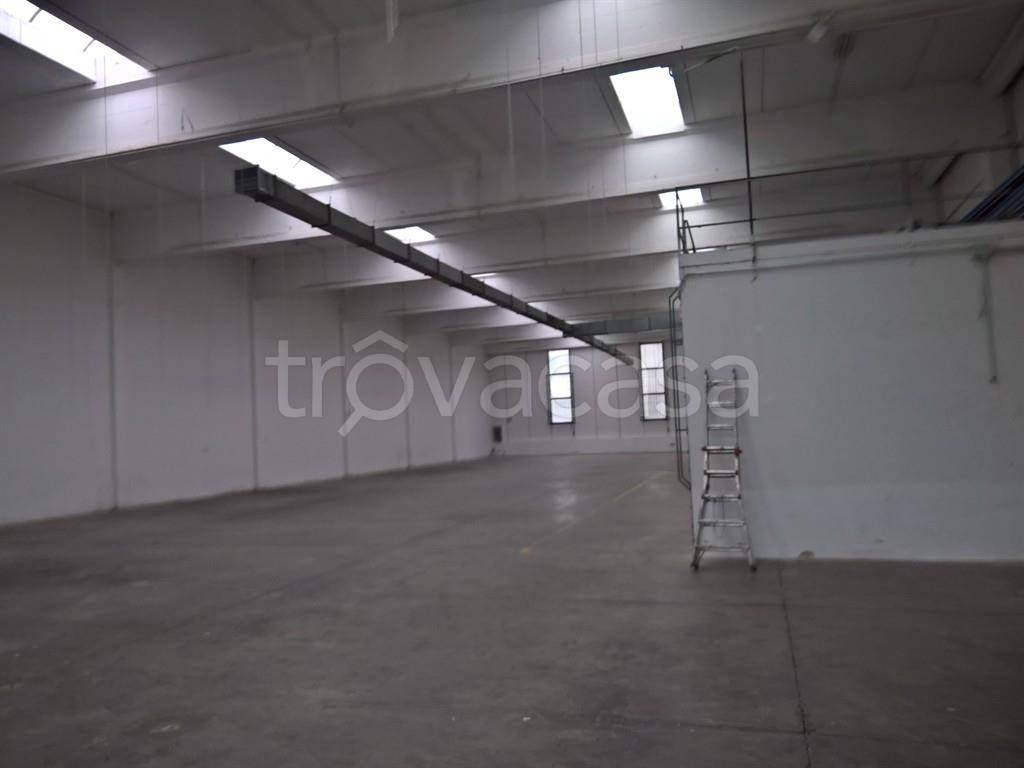 immagine annuncio 5 di 6