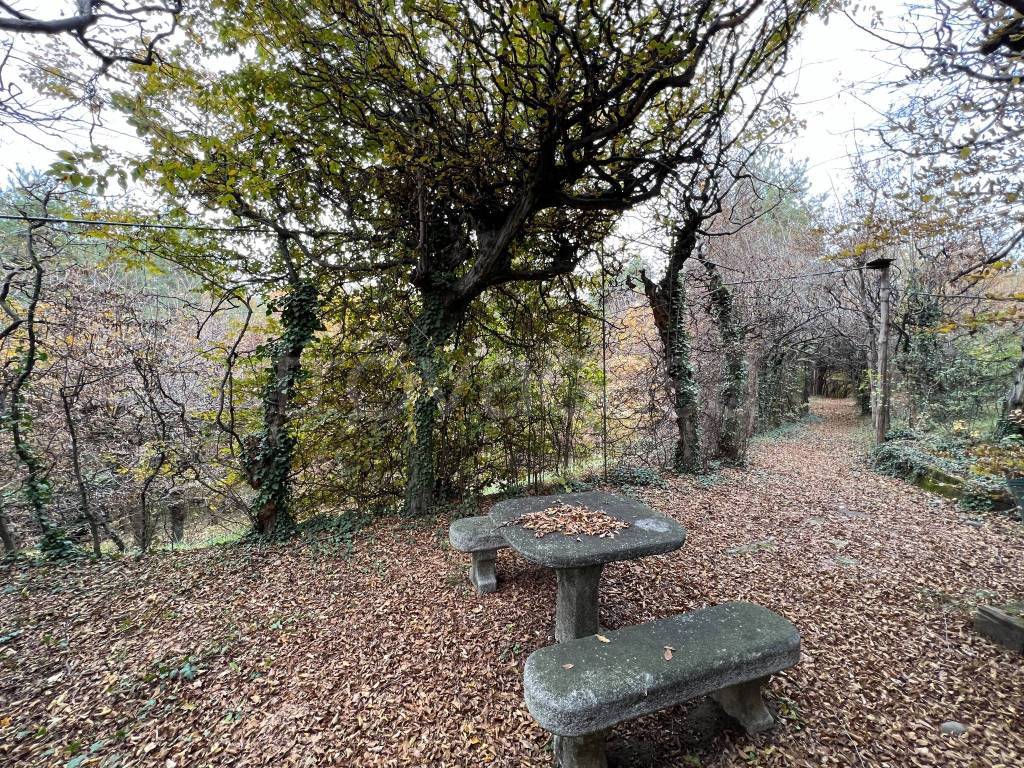 immagine annuncio 10 di 13