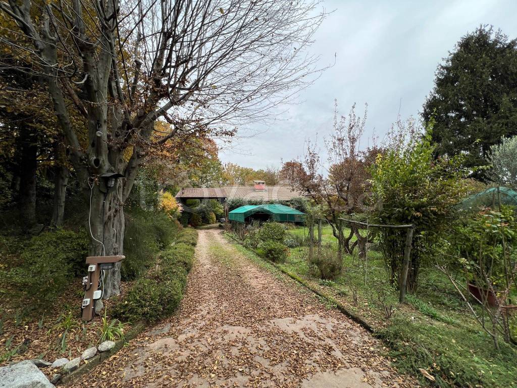 immagine annuncio 12 di 13