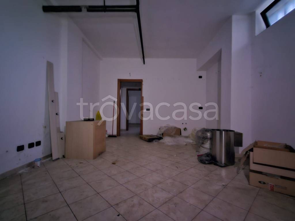 immagine annuncio 2 di 14