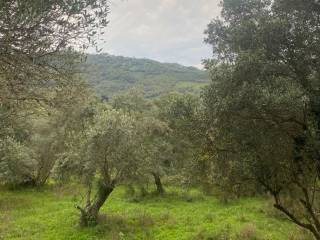 Terreno agricolo in vendita a rutino via del campo sportivo