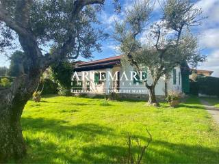 Villa in affitto a forte dei marmi 