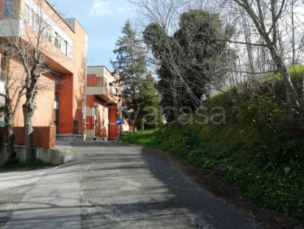 immagine annuncio 9 di 12