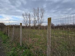 Terreno agricolo in vendita a somma vesuviana strada vicinale delle monache, 56